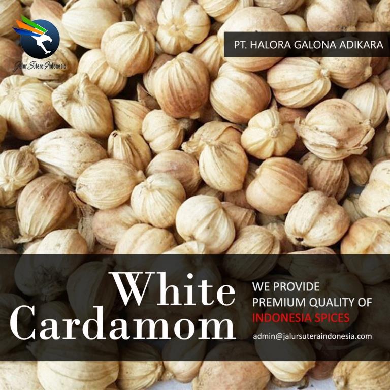 White Cardamom